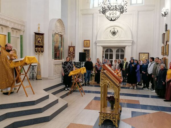 img_20241008_063953_736.jpg img_20241008_063953_736.jpg